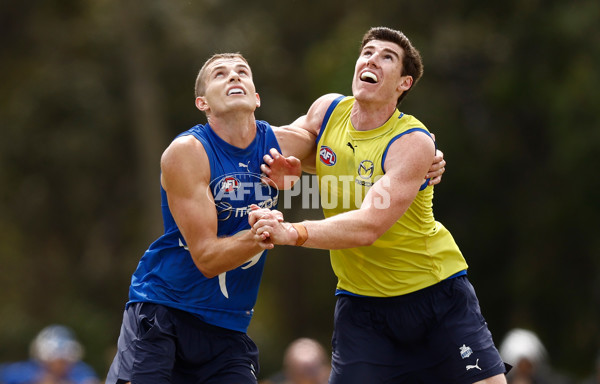 AFL 2024 Training - North Melbourne 260124 - A-45926158