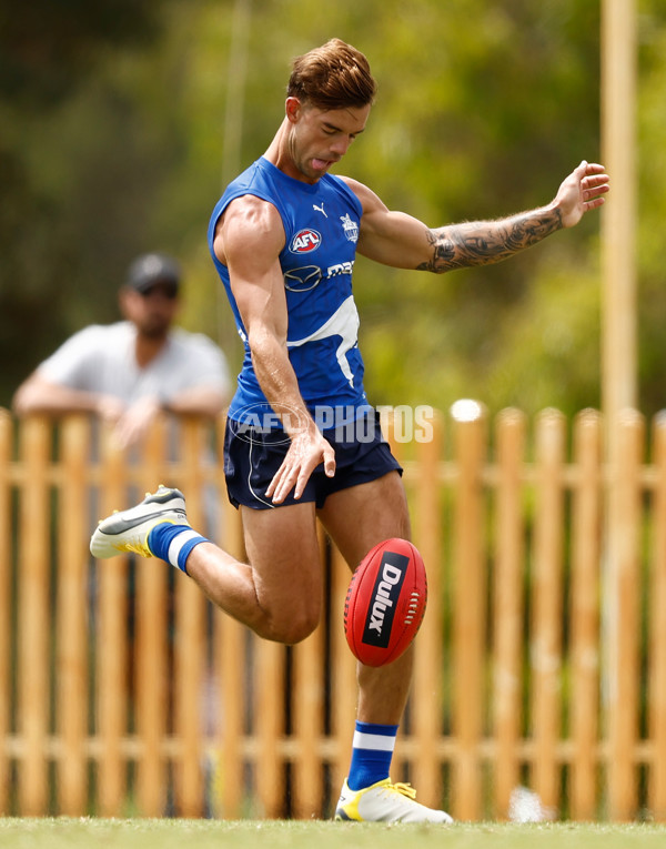 AFL 2024 Training - North Melbourne 260124 - A-45926168