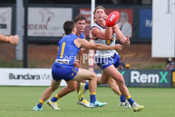 AFL 2024 Training - West Coast Intra Club 170224 - A-45995273