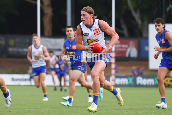 AFL 2024 Training - West Coast Intra Club 170224 - A-45995276