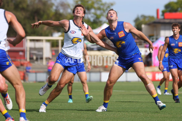 AFL 2024 Training - West Coast Intra Club 170224 - A-45995277