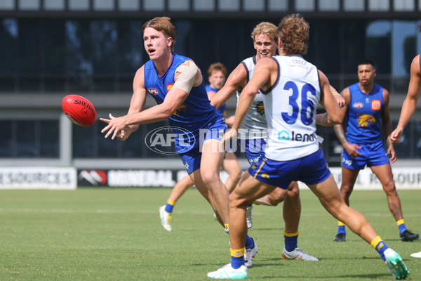 AFL 2024 Training - West Coast Intra Club 170224 - A-45995281