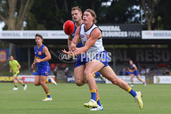 AFL 2024 Training - West Coast Intra Club 170224 - A-45996432