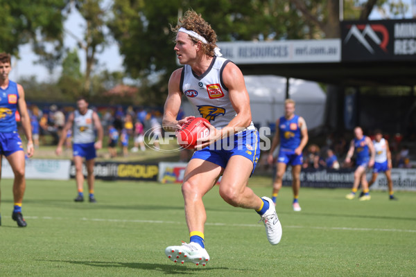 AFL 2024 Training - West Coast Intra Club 170224 - A-45996433