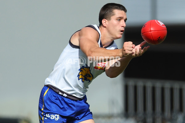 AFL 2024 Training - West Coast Intra Club 170224 - A-45996440