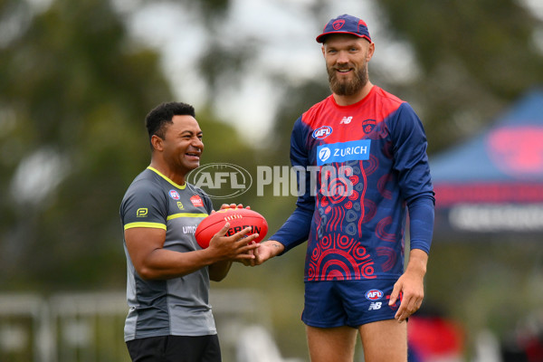 AFL 2024 Match Simulation - Melbourne v Richmond - A-46005260