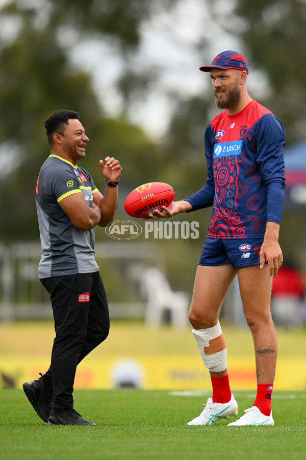 AFL 2024 Match Simulation - Melbourne v Richmond - A-46005262