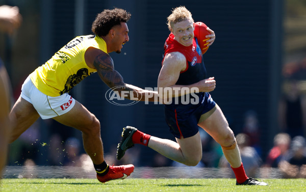 AFL 2024 Match Simulation - Melbourne v Richmond - A-46010540