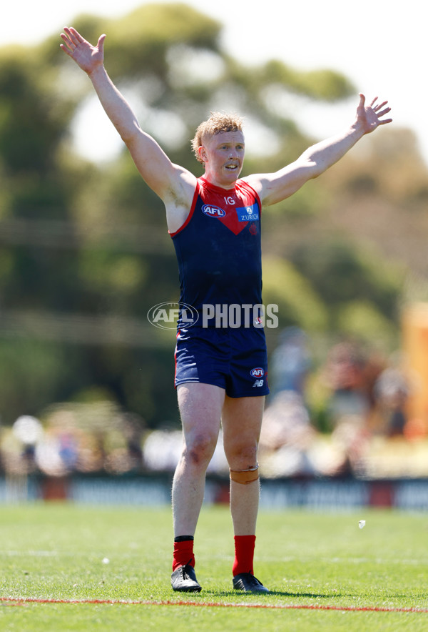 AFL 2024 Match Simulation - Melbourne v Richmond - A-46010542