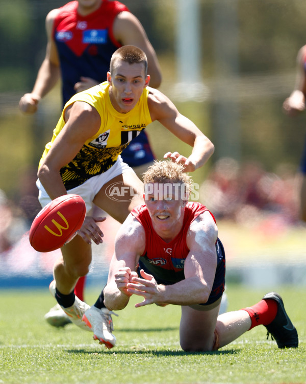 AFL 2024 Match Simulation - Melbourne v Richmond - A-46010543