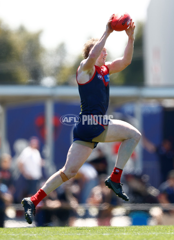 AFL 2024 Match Simulation - Melbourne v Richmond - A-46010544