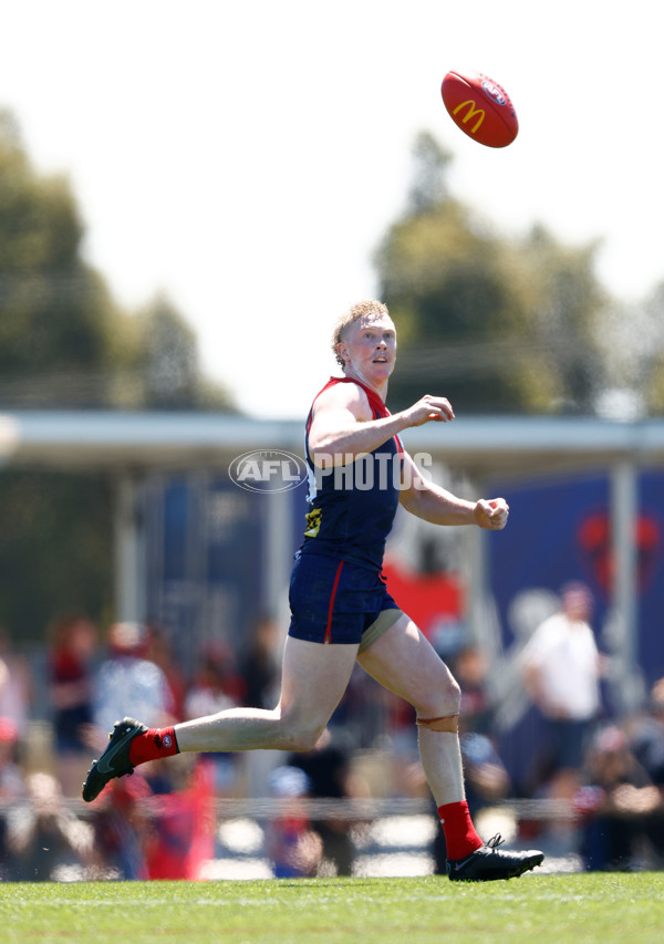 AFL 2024 Match Simulation - Melbourne v Richmond - A-46011693