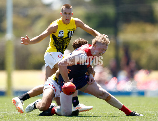 AFL 2024 Match Simulation - Melbourne v Richmond - A-46011694