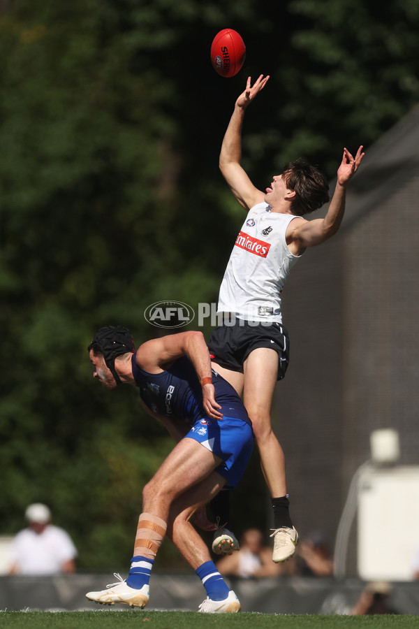 AFL 2024 Match Simulation - Collingwood v North Melbourne - A-46017416