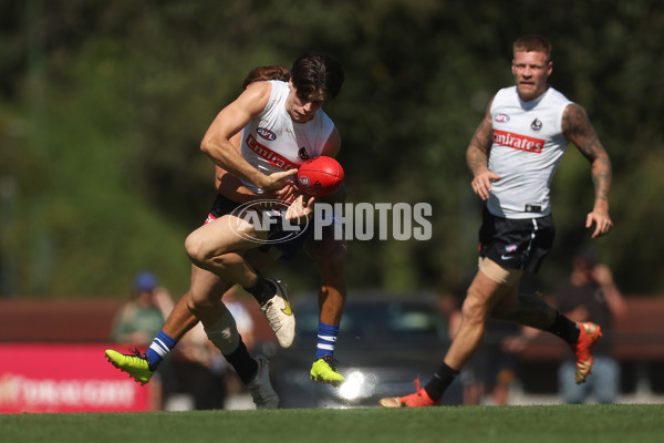 AFL 2024 Match Simulation - Collingwood v North Melbourne - A-46020064