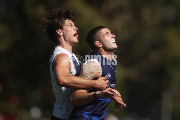 AFL 2024 Match Simulation - Collingwood v North Melbourne - A-46020068