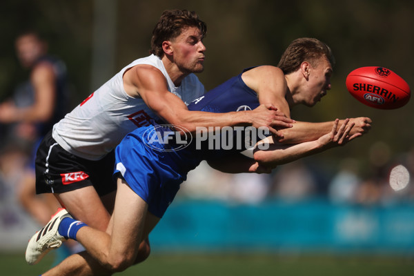 AFL 2024 Match Simulation - Collingwood v North Melbourne - A-46020085
