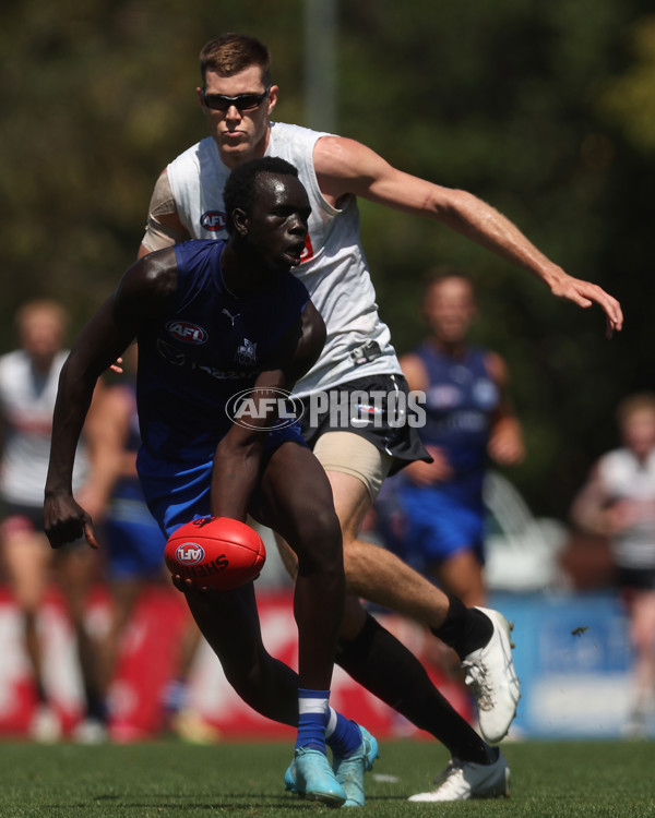 AFL 2024 Match Simulation - Collingwood v North Melbourne - A-46020139