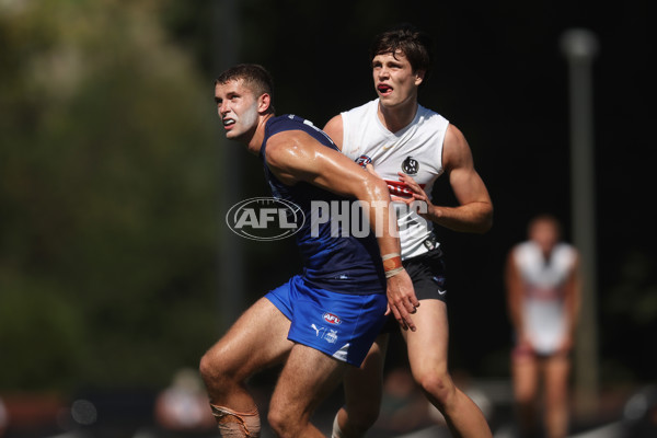 AFL 2024 Match Simulation - Collingwood v North Melbourne - A-46020663