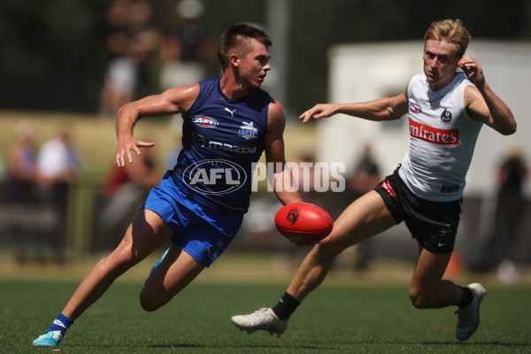 AFL 2024 Match Simulation - Collingwood v North Melbourne - A-46020728