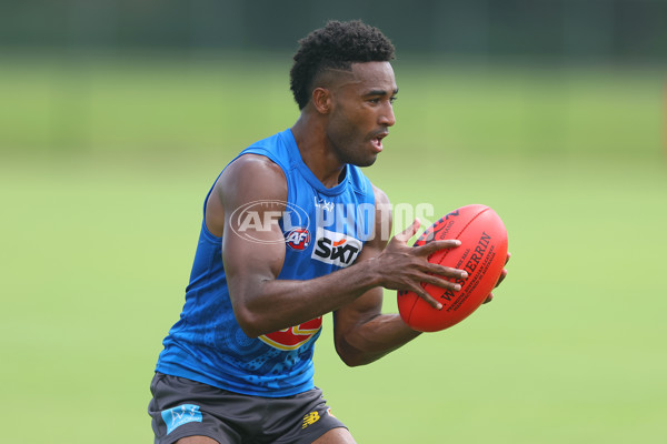 AFL 2024 Training - Gold Coast 150124 - A-46029023