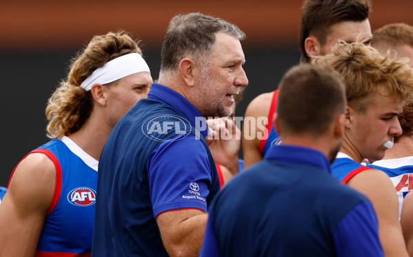 AFL 2024 Match Simulation - Western Bulldogs v Hawthorn - A-46045936