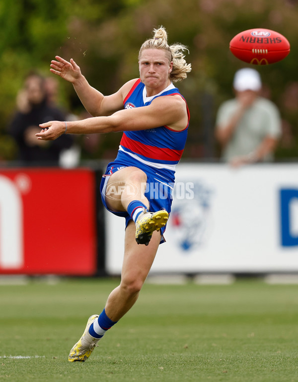 AFL 2024 Match Simulation - Western Bulldogs v Hawthorn - A-46048290