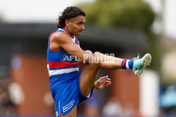 AFL 2024 Match Simulation - Western Bulldogs v Hawthorn - A-46048292