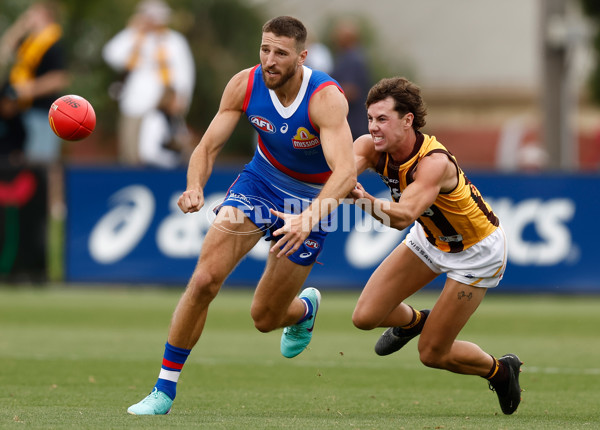 AFL 2024 Match Simulation - Western Bulldogs v Hawthorn - A-46048526