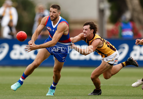 AFL 2024 Match Simulation - Western Bulldogs v Hawthorn - A-46048527