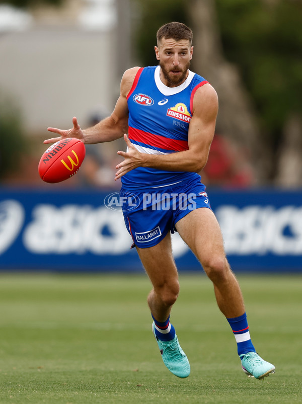 AFL 2024 Match Simulation - Western Bulldogs v Hawthorn - A-46048590