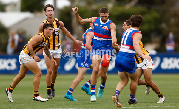 AFL 2024 Match Simulation - Western Bulldogs v Hawthorn - A-46048593