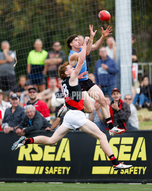 AFL 2024 Match Simulation - St Kilda v Essendon - A-46050593