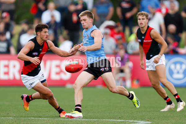 AFL 2024 Match Simulation - St Kilda v Essendon - A-46050613