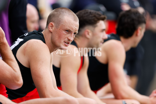 AFL 2024 Match Simulation - St Kilda v Essendon - A-46050637