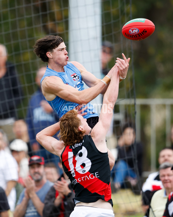 AFL 2024 Match Simulation - St Kilda v Essendon - A-46050899