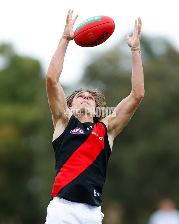 AFL 2024 Match Simulation - St Kilda v Essendon - A-46050919