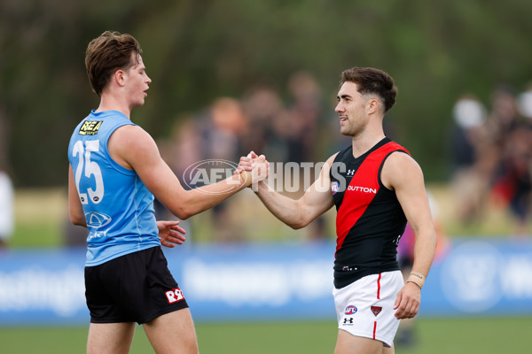 AFL 2024 Match Simulation - St Kilda v Essendon - A-46052879