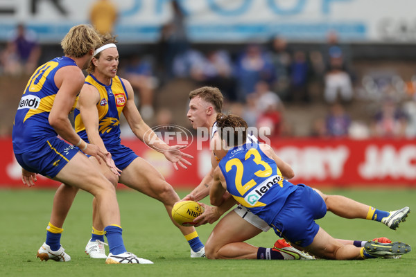 AFL 2024 Match Simulation - West Coast v Fremantle - A-46055908