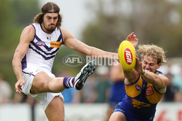 AFL 2024 Match Simulation - West Coast v Fremantle - A-46055909