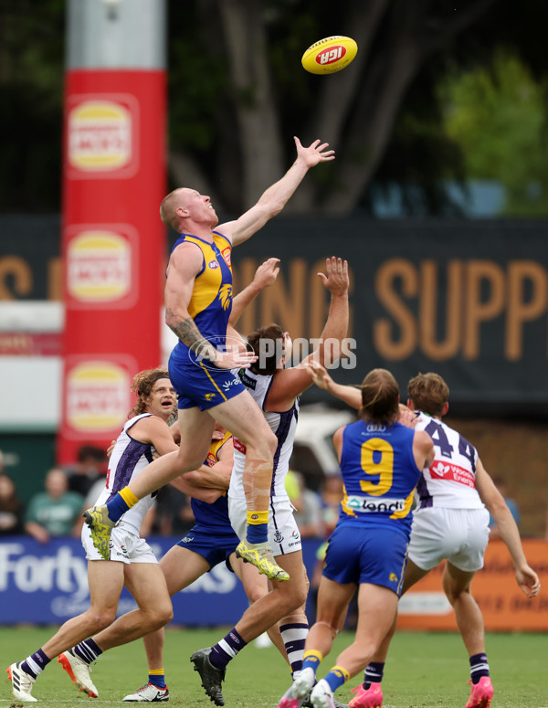 AFL 2024 Match Simulation - West Coast v Fremantle - A-46055912