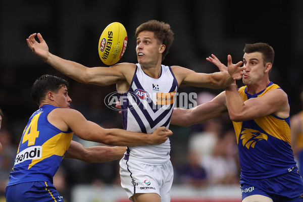 AFL 2024 Match Simulation - West Coast v Fremantle - A-46055935