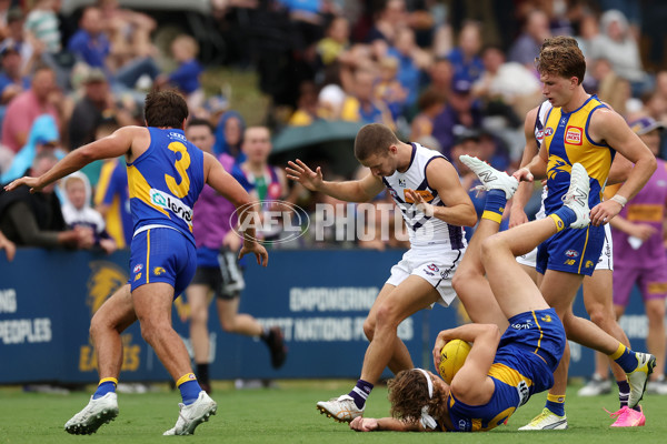 AFL 2024 Match Simulation - West Coast v Fremantle - A-46055967