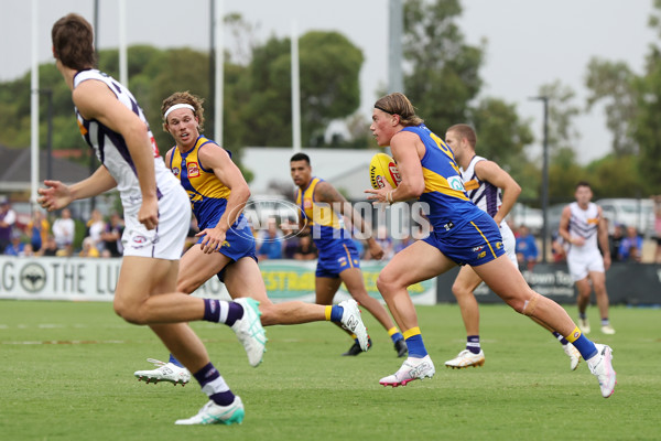 AFL 2024 Match Simulation - West Coast v Fremantle - A-46055979