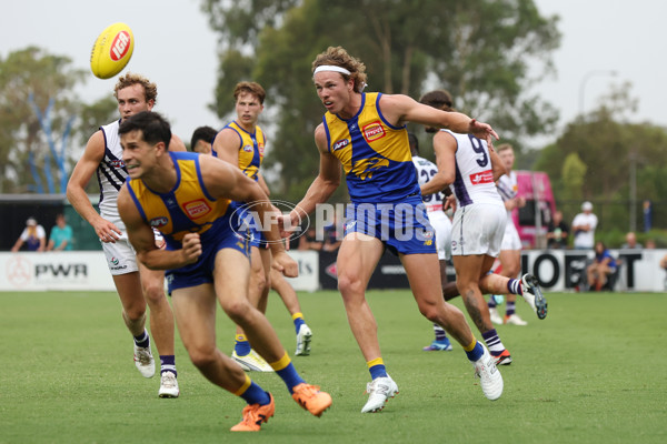 AFL 2024 Match Simulation - West Coast v Fremantle - A-46056006