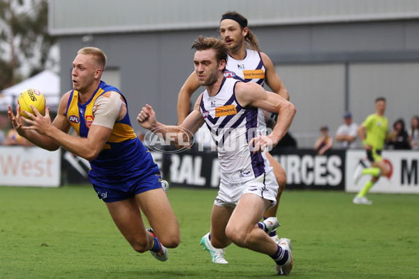 AFL 2024 Match Simulation - West Coast v Fremantle - A-46056026