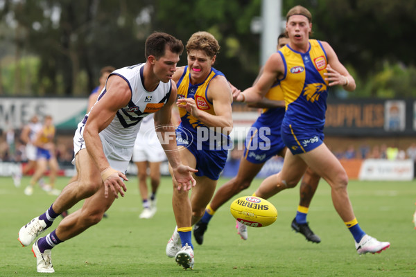 AFL 2024 Match Simulation - West Coast v Fremantle - A-46056034