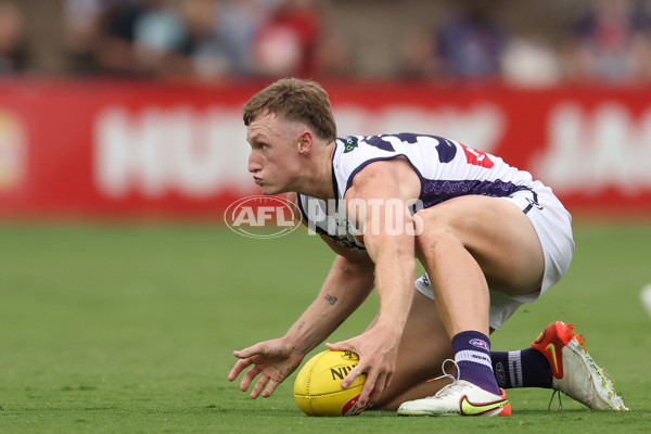 AFL 2024 Match Simulation - West Coast v Fremantle - A-46056076