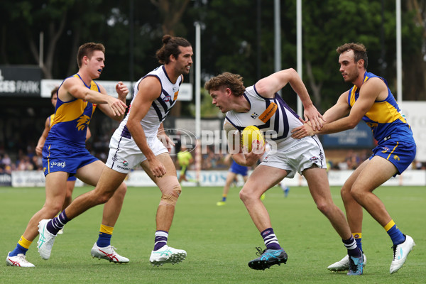 AFL 2024 Match Simulation - West Coast v Fremantle - A-46056085