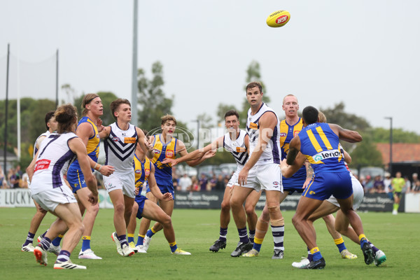 AFL 2024 Match Simulation - West Coast v Fremantle - A-46056086